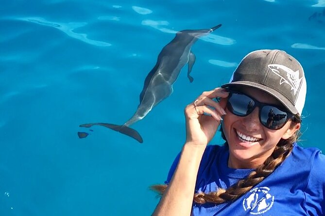 Kona: 3 Hour Dolphin Watch, Double Snorkel, & BBQ Lunch - Meeting and Logistics