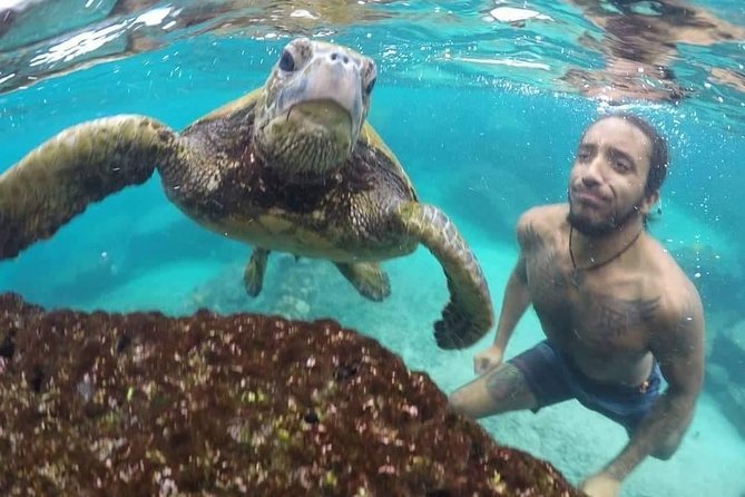 Kona Coast 3-hour Midday Snorkel Tour  - Big Island of Hawaii - Pricing and Booking Details