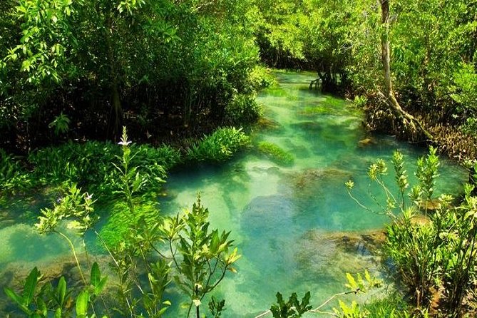Krabi Jungle Tour:Krabi Hot Springs Waterfall,Emerald Pool and Tiger Cave Temple - Tour Highlights