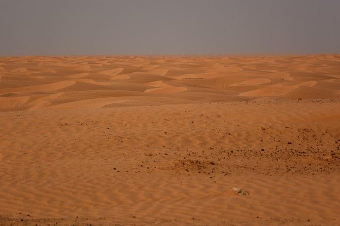 Ksar Ghilane 1 Day: the Hot Spring and the Homestay - Overview and Itinerary