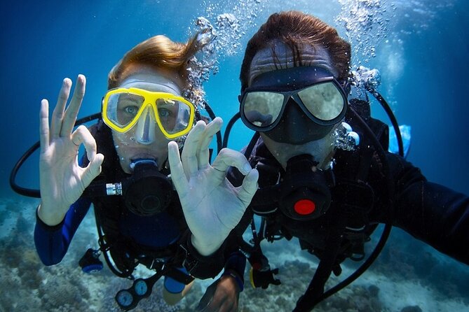 Kusadasi Beginners Discover Scuba Dive W/Transfers & Lunch - Scenic Scuba Diving in Kusadasi