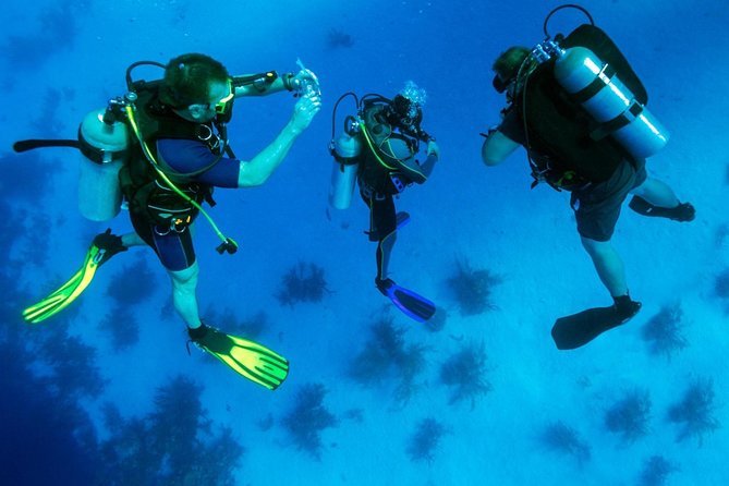 Kusadasi/Selcuk Scuba Diving Adventure With Lunch & Transfer - Scuba Diving Trip Options