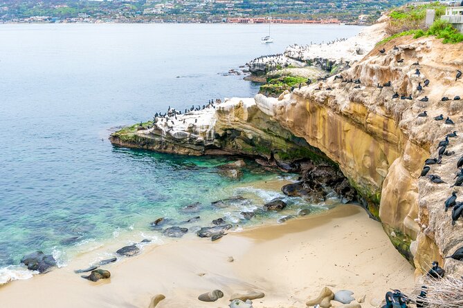 La Jolla Food and Drink Walking Tour - Sip, Savor & Sea - Cancellation Policy