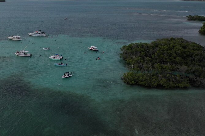 La Parguera Glowing Bioluminescent Bay Boat Tour From San Juan - Tour Details