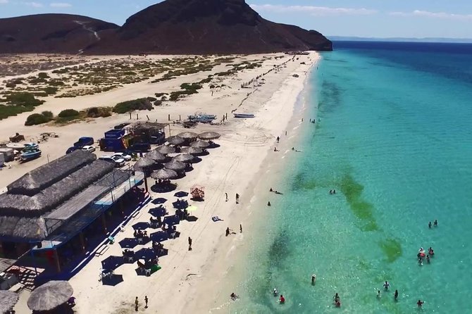 La Paz and Todos Santos City and Beaches Tour - Tour Highlights