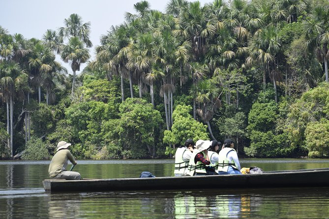 Lago Sandoval, Canopy Tower Full-Day Tour From Madre De Dios  - Puerto Maldonado - Tour Overview and Activities