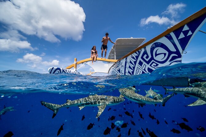 Lagoon Snorkeling Tour With Tahitian Oven Lunch in Bora Bora - The Sum Up