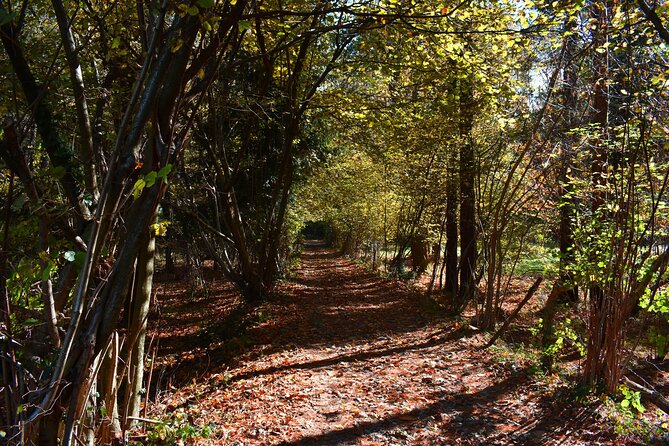Lake Como Val Senagra Guided Walking Excursion - Excursion Overview