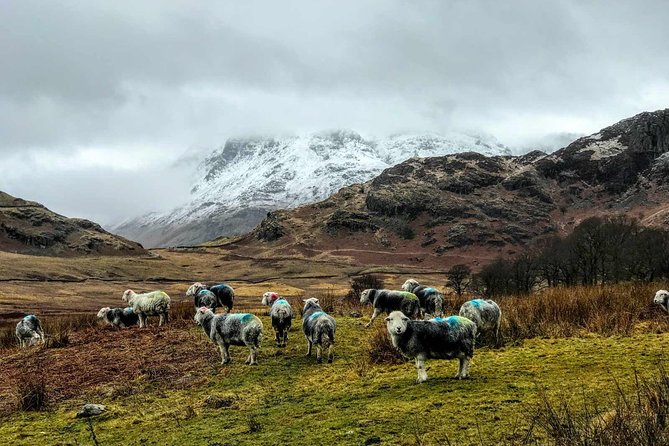 Lake District Adventure Sightseeing Day Trip From Liverpool - Tour Details and Inclusions