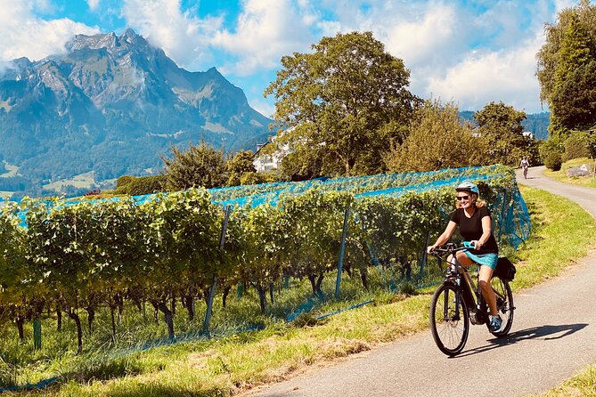 Lake Lucerne Peninsula E-Bike Tour - Tour Details