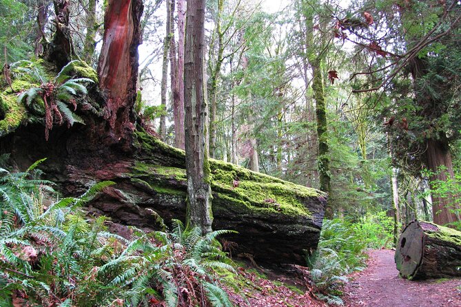 Lake, Old Growth Trees and Columbia City: Beautiful Natural Spaces and History - Overview and Location