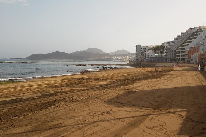 Las Canteras Beach Snorkeling and Species Identification Tour - Booking and Requirements