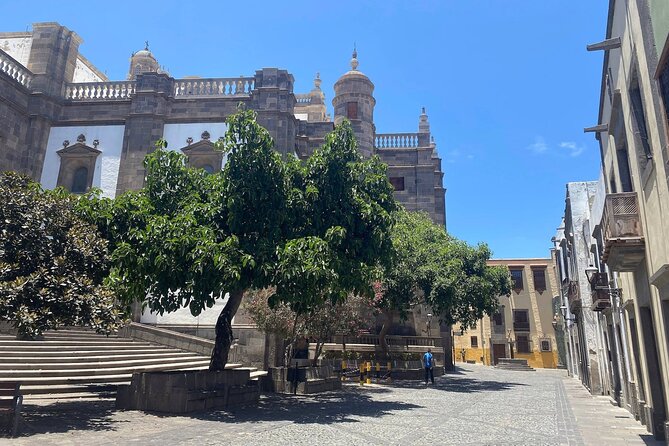 Las Palmas Sight and Shopping Full Day Tour - Overview