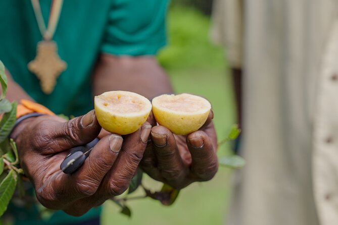 Liamuiga Natural Farm Tour - Additional Information