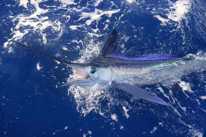 Lihue, Kauai: Private Big Game Fishing Charter - Thrilling Big Game Fishing Experience