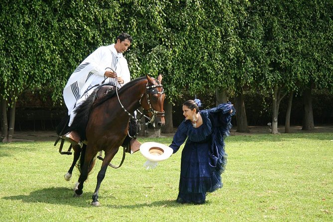Lima: Premium Peruvian Horse Show With Lunch & Transfers - Additional Information