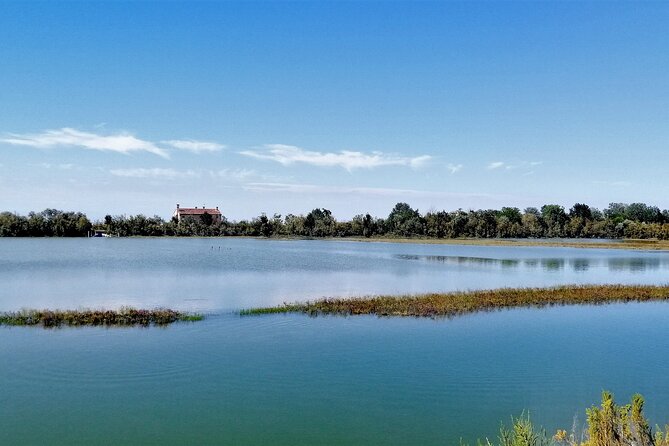 Lio Piccolo: Flamingos & Birdwatching Bike Tour in the Venetian Lagoon - Wetlands of Lio Piccolo and Mesole