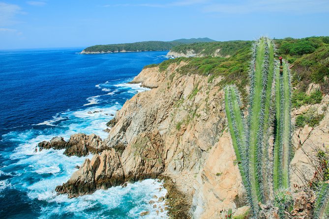 Local Experience Shopping and Sightseeing Tour - Tour Details