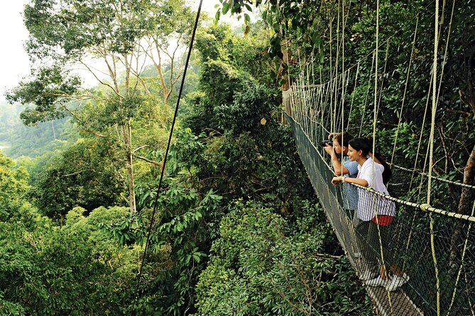 Locally Guided Tambopata Amazon Jungle Tour (4 Days) - Itinerary