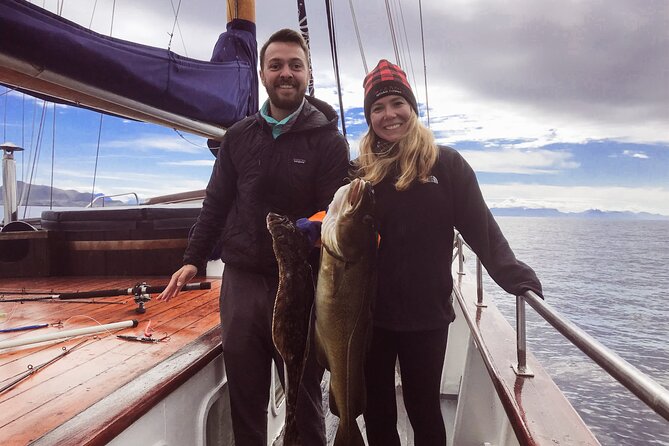 Lofoten Islands Luxury Fishing, Hiking & Beach Tour With Lunch - Tour Overview