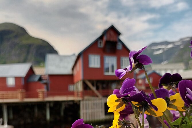 Lofoten PRIVATE Tour From Leknes - Small Group (1-4 Pax) - Reviews