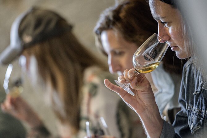 Loire Valley Wines Private Day Tour With Tastings From Tours or Amboise - Tour Details