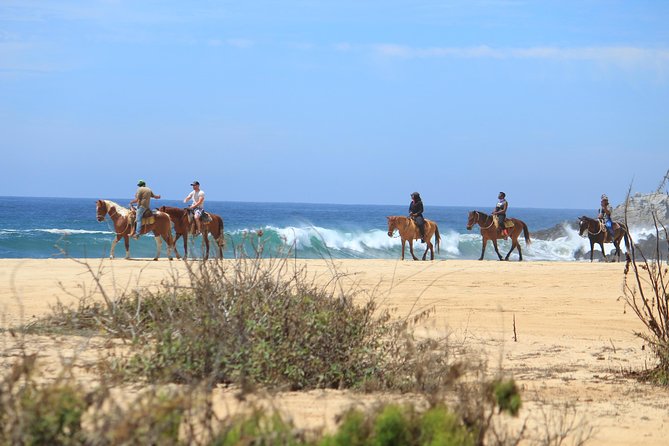 Los Cabos ATV and Pacific Horseback Riding Combo Tour - Pricing and Booking Details