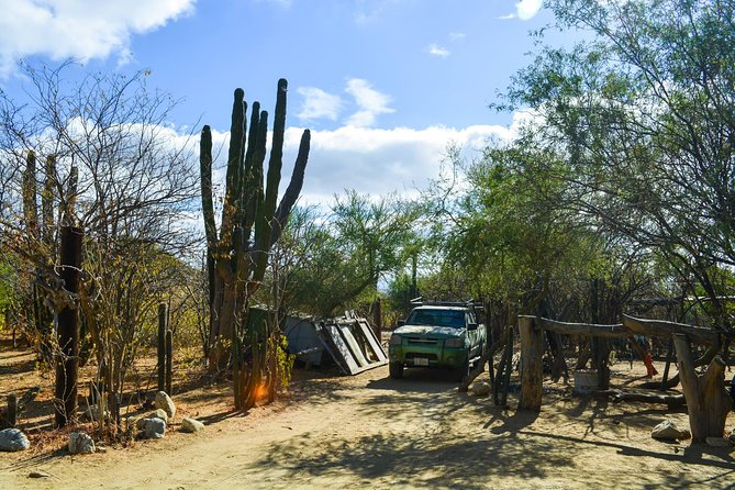 Los Cabos: Hiking at the Fox Canyon - Reviews and Recommendations