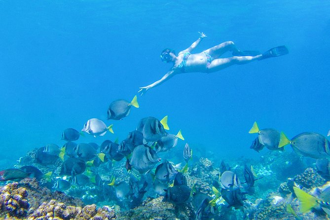 Los Cabos Sea Adventure: Snorkeling, Kayaking and Stand-Up Paddleboarding - Tour Overview