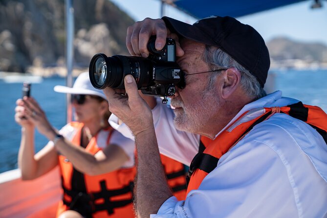 Los Cabos Whale Watching (Transportation and Pictures Included) - Pickup and Meeting Point Details