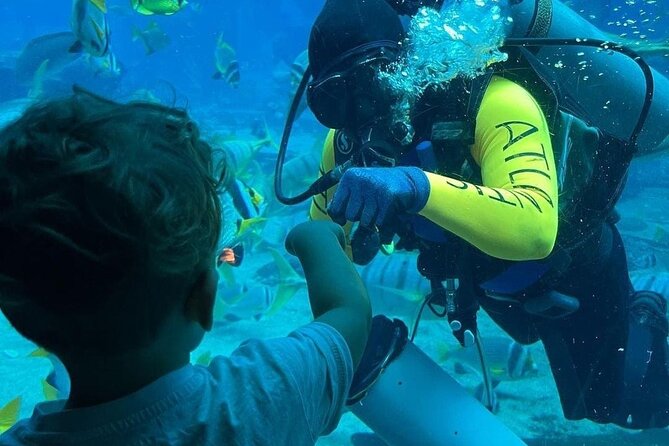 Lost Chamber Aquarium in Atlantis, Dubai - Pricing and Booking