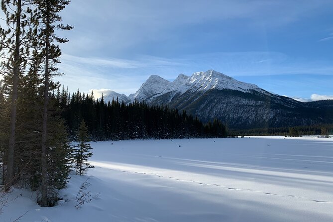 Lost Towns and Untold Stories - 3hr / Ice Cleats Included - Meeting and Pickup