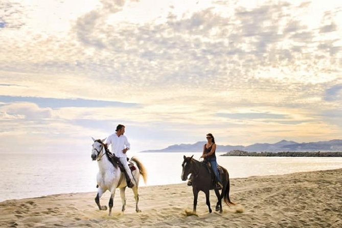 Love Is in the Air! Private Horseback Ride on the Beach and Sunset Dinner! - Experience Details
