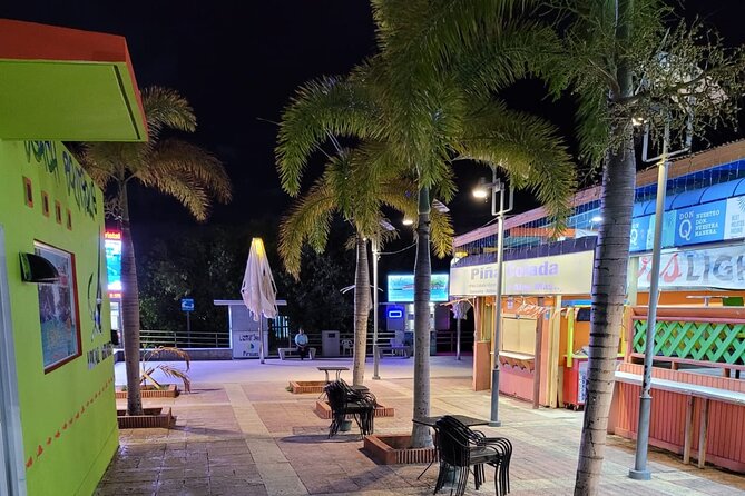 Luminous One Puerto Rico: Bio Bay Boat Ride With Swimming - Experience and Activities