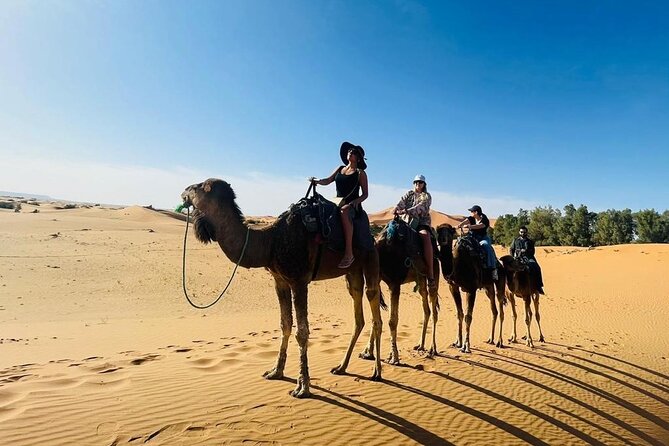 Luxury 3 Days 2 Nights Desert Tour From Fez to Marrakesh - Itinerary Highlights