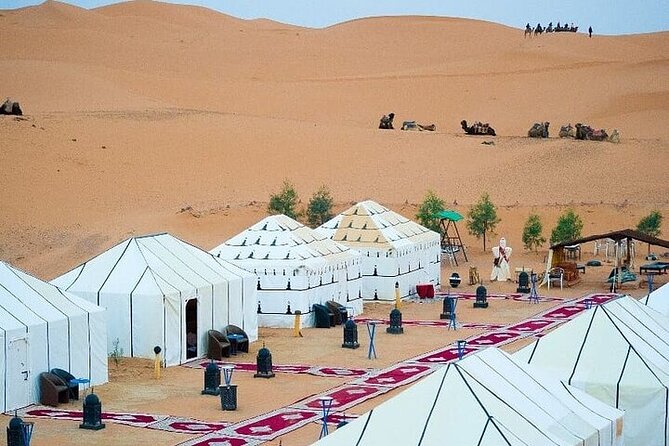 Luxury Sahara Desert From Fez Back to Fez or Marrakech Overnight - Overview of Luxury Sahara Desert Tour