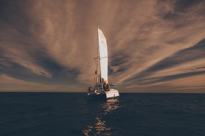 Luxury Sailing Whale Watch and The Arch (Dec 15 - Apr 15) - Catamaran Experience and Attractions