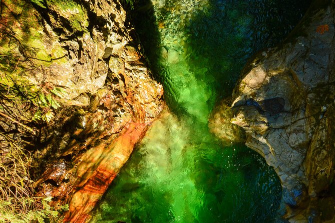 Lynn Canyon Suspension Bridge & Park Photography - Cancellation Policy