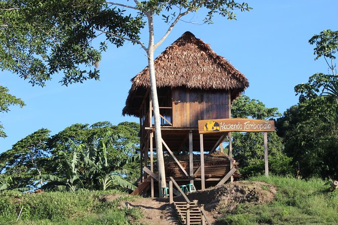 Macaw Collpa & Sandoval Lake 4 Days / 3 Nights - Reviews and Ratings