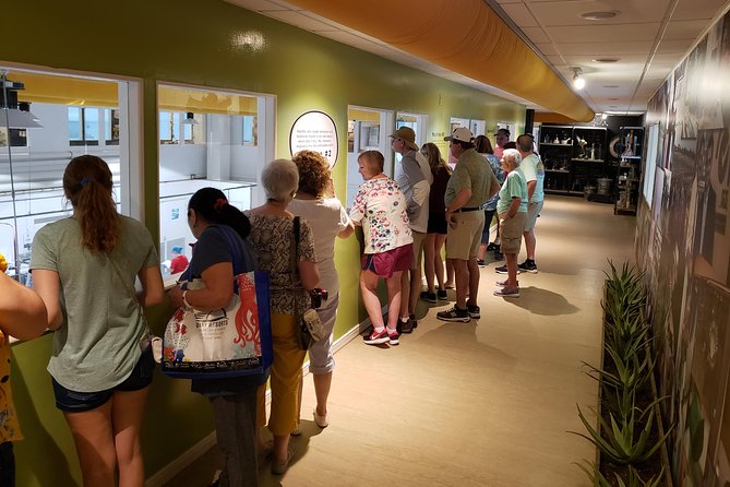 Made in Aruba Sightseeing Tour - Tour Highlights and Other Stops