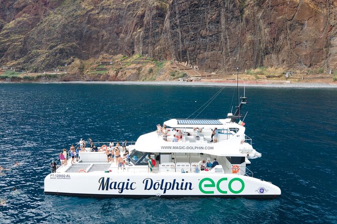 Madeira Dolphin and Whale Watching on a Ecological Catamaran - Tour Overview and Highlights