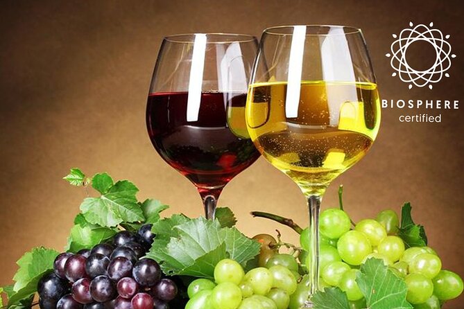Madeira Wines Tasting Vineyards & Skywalk in 4x4 Full Day Tour - Traveler Reviews and Ratings