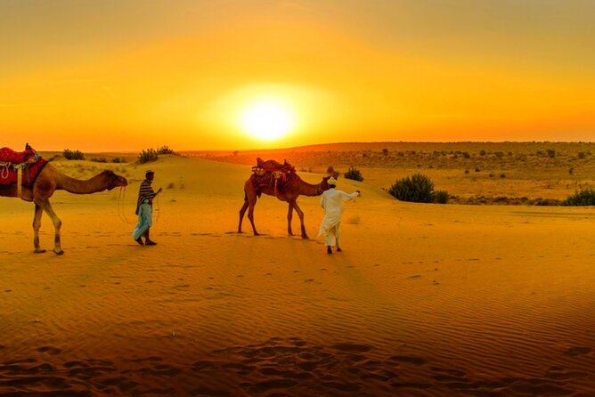 Magical Dinner in Marrakech Desert and Camel Ride at Sunset With Transportation - Pricing and Booking