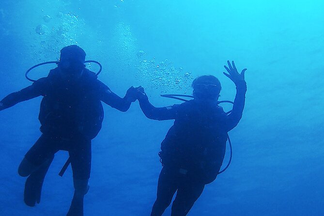 Mahahual Scuba Diving: 2-Tank Reef Dive  - Costa Maya - Overview and Booking