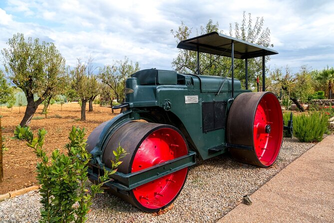 Majorca Winery Visit With Wine & Local Food Tasting From East - Wine Tasting Experience