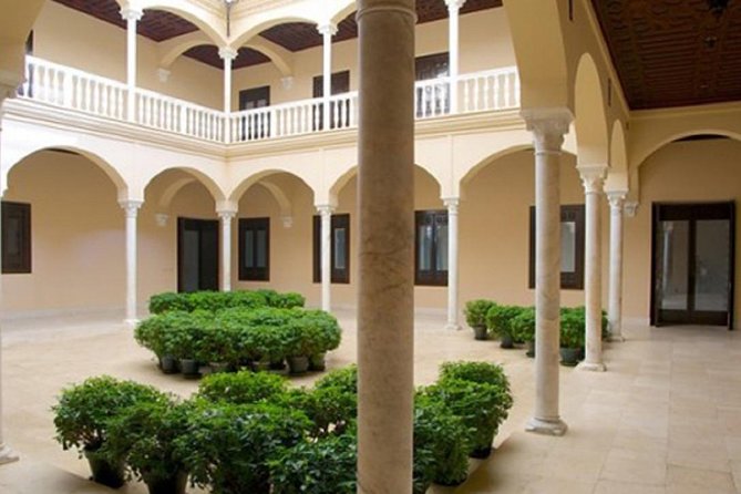 Málaga Picasso Museum Private Guided Tour - Meeting Point and Languages Offered