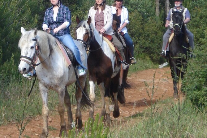 Mallorca Wine and Cheese Tasting (Outdoor Activity) With Optional Horse Riding - Four Wines Paired With Artisanal Cheeses