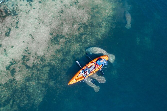Manatee Kayak Encounter - Overview and Location