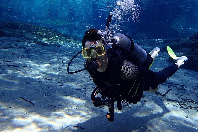 Manatees and Rainbow River by SCUBA or Snorkel - Exploring Floridas Nature Coast