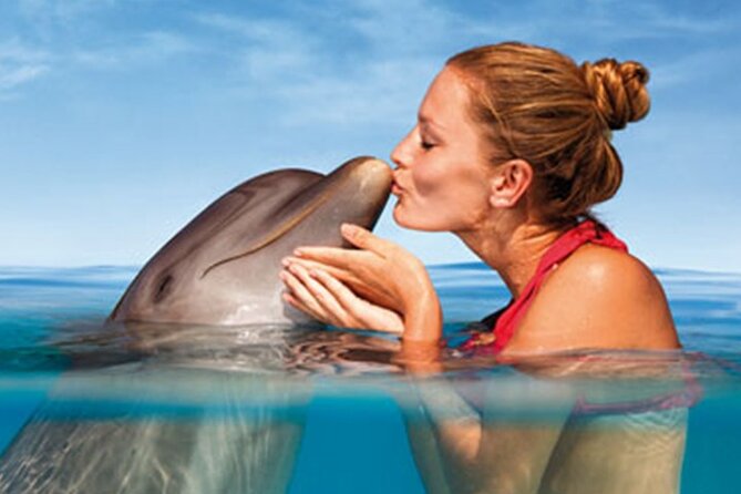 Manati Park and Dolphins .. 9. - Inclusions and Lunch